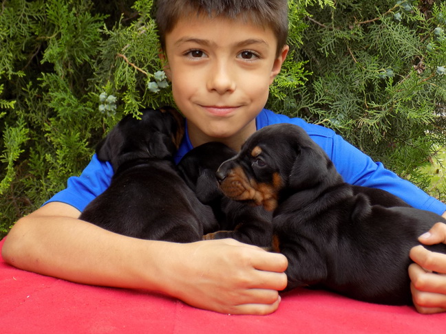 Bogdan and puppies